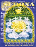 March 2002 Sedona Journal of Emergence