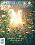 July 2000 Sedona Journal of Emergence