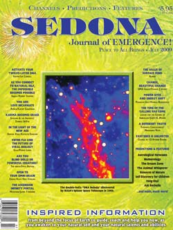 July 2009 Sedona Journal of Emergence