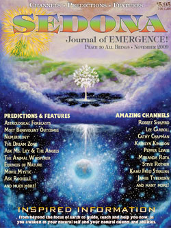November 2009 Sedona Journal of Emergence